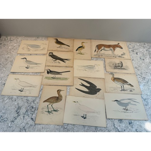Collection antique - of,