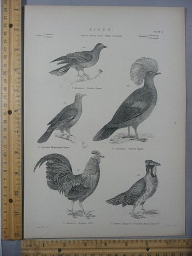 Rare antique original vtg - original,